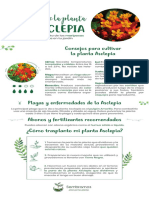 guia-de-cuidado-planta-asclepia-