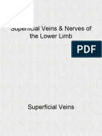 Week 2 Lecture Superficial Veins & Nerves