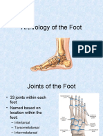 Arthrology of The Foot