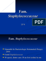 LP4 - Fam. Staphylococcaceae, Lumi
