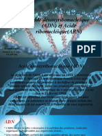 Acide Désoxyribonucléique (ADN) Et Acide Ribonucléique(ARN (1)