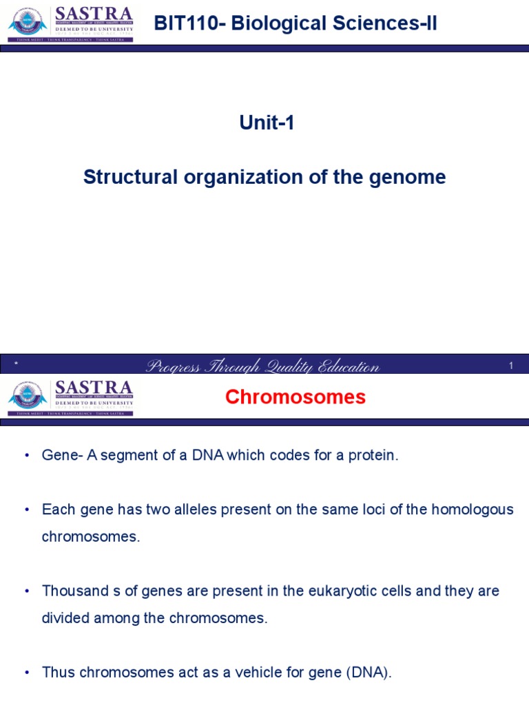Understanding Chromosome Structure and Function | PDF | Chromosome | Gene