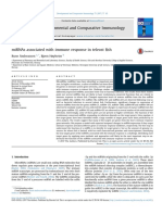 miRNA associated with immune response in telest fish