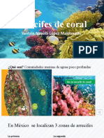 Arrecifes de coral en México: zonas, extensión y conservación