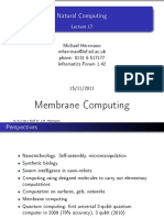 Nat17 - Membrane Computing