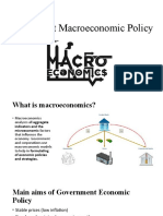 Government Macroeconomic Policy