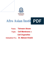 Afro Asian Institute: Name Tehreem Akram