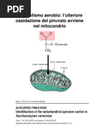 5 Ciclo_di_Krebs
