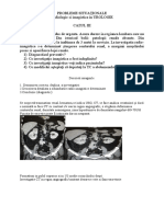 Imag Urologie - Recuperare - V 3 - Rom Barba