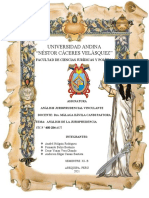 Analisis de La Jurisprudencia STC N º 4080