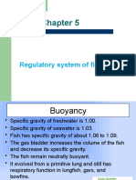 Regulatory System of Fish