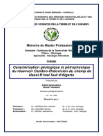 Caractérisation Géologique Et Pétrophysique Du Réservoir Cambro-Ordovicien Du Champ de Hassi R’Mel Sud d’Algerie