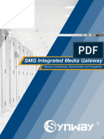 SMG Integrated Media Gateway: Remove Unclearness, Disconnection and Complexity