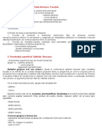 1.parodonțiul Marginal. Definiție - Structura. Funcțiile