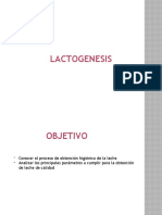 Lactogénesis