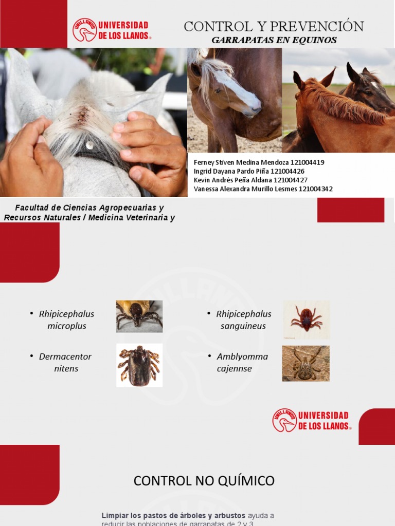 Control y Prevencion de Garrapatas en Equinos | PDF