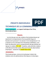 Projet Individuel P