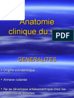 Anatomie Clinique Du Sein