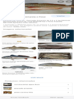Peixes frescos: Corvina, Pescada Amarela e Peixe Espada