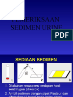 Sedimen Urin Akper I