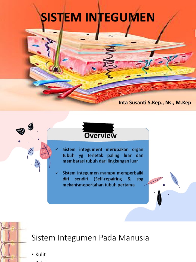 Struktur dan Fungsi Sistem Integumen | PDF