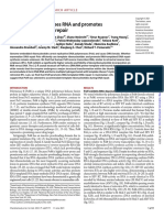 Pol Reverse Transcribes RNA and Promotes RNA-templated DNA Repair