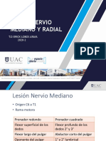 Clase 5 Lesion Mediano Radial