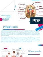 Seminario I Neurología