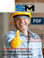 Revista VSM SST