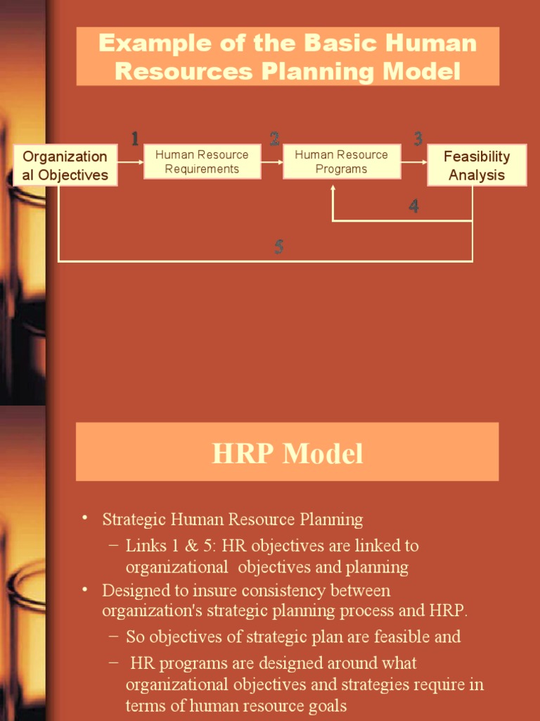 HR Planning Model PDF Human Resource Management Human Resources