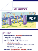 The Cell Membrane: AP Biology