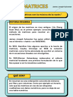 "Las Matemáticas Son La Música de La Razón.": Matrices