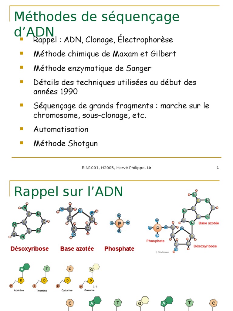 Comment Avoir Adn Avec Le Pass Culture séquençage d'ADN | Séquençage de l'ADN | Génétique