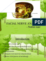 Facial Nerve Anatomy - Nithin Nair