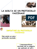 protocolli vaccinali per il cane_tba