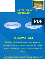 LE_MALATTIE_VIRALI_DEL_CONIGLIO