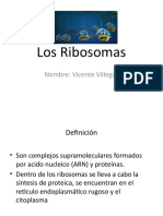 Los Ribosomas Vicente Villegas