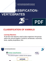 Vertebrate Classification Guide /TITLE