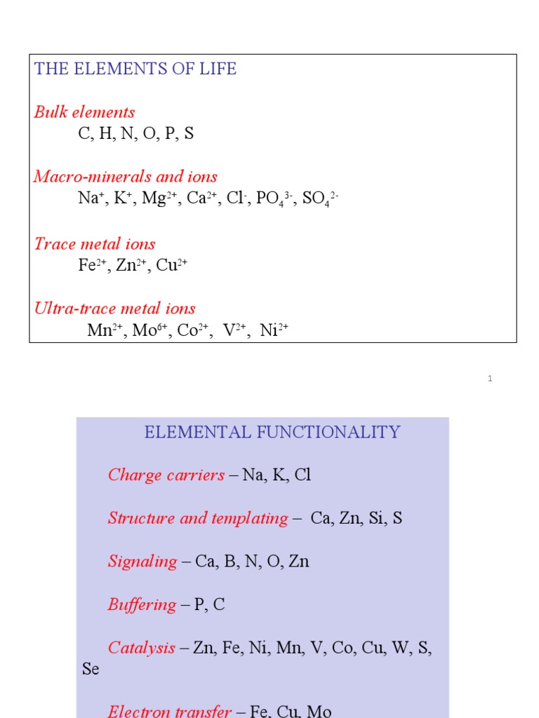 The Elements of Life: C, H, N, O, P, S | PDF