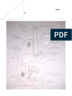 Anatomy and Physiology Anatomy of Microscope and Fundamental Tissues