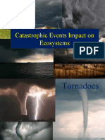 Catastrophic Events Impact On The Ecosystem (NXPowerLite)