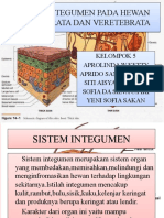 Cindy Piki - PPT Anatomi Hewan