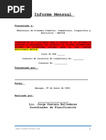 Informe Mensual Ejemplo