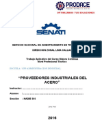 presentacion_de_la_empresa_prodace.docx[1] (1)