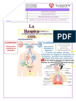 Mapa Mental - La Respiración y Actividad Física Cultura Física y Deportes