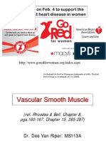 Vascular Smooth Muscle