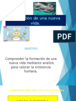 Formación de una nueva vida en