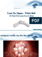 Six Sigma White Belt HINDI