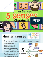 Human Senses