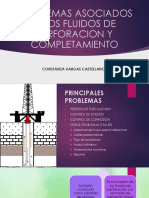 PROBLEMAS ASOCIADOS A LOS FLUIDOS DE PERFORACION - PERDIDA DE CIRCULACION